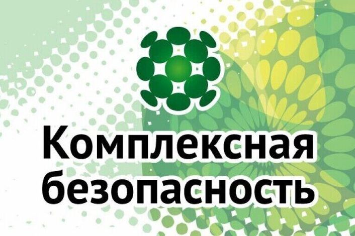 Комплексная безопасность граждан Комплексная безопасность граждан.
